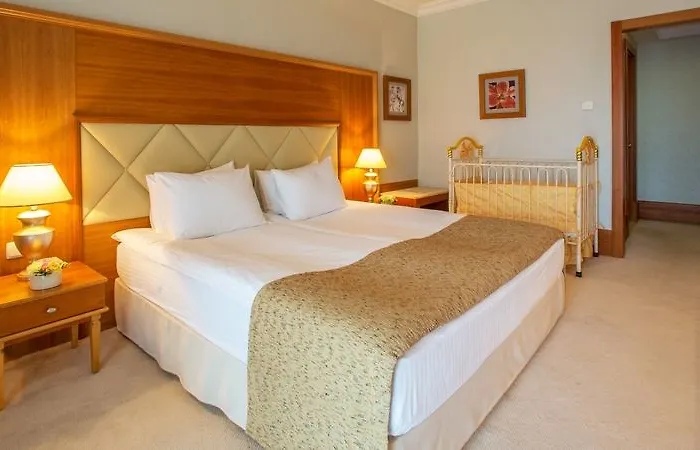 Θέρετρο Rixos-prykarpattya 5*